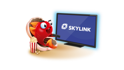 Skylink Live TV